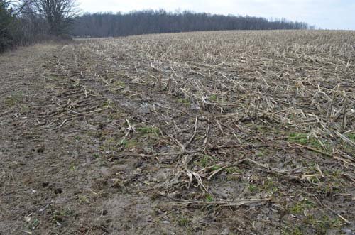 Property photo 92 - 98+/- Acres Offered in 6 Tracts or Combinations, Noble County, Indiana Farm